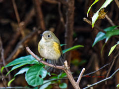 30分待たされた
