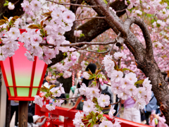 造幣局らしい風景