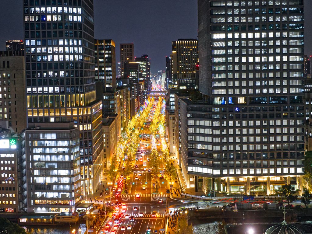 「大阪・光の饗宴 2025」御堂筋イルミネーション