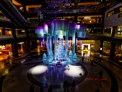 2Fから見るクリスマスツリー3