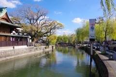 晩秋の柳川水郷_005