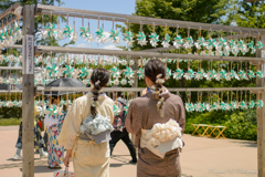 川越氷川神社