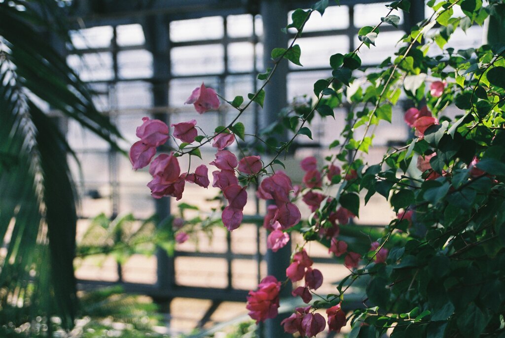 相模原公園