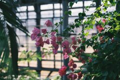 相模原公園