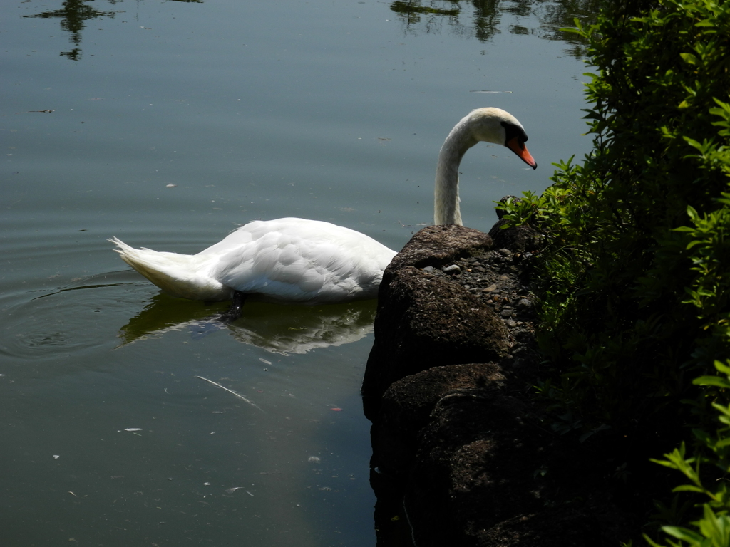 荒川自然公園