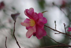 上ノ山公園付近