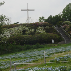 愛知牧場