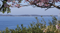 聖崎公園