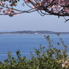 聖崎公園
