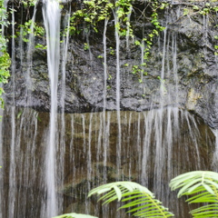 相模原公園