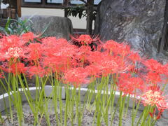半六庭園