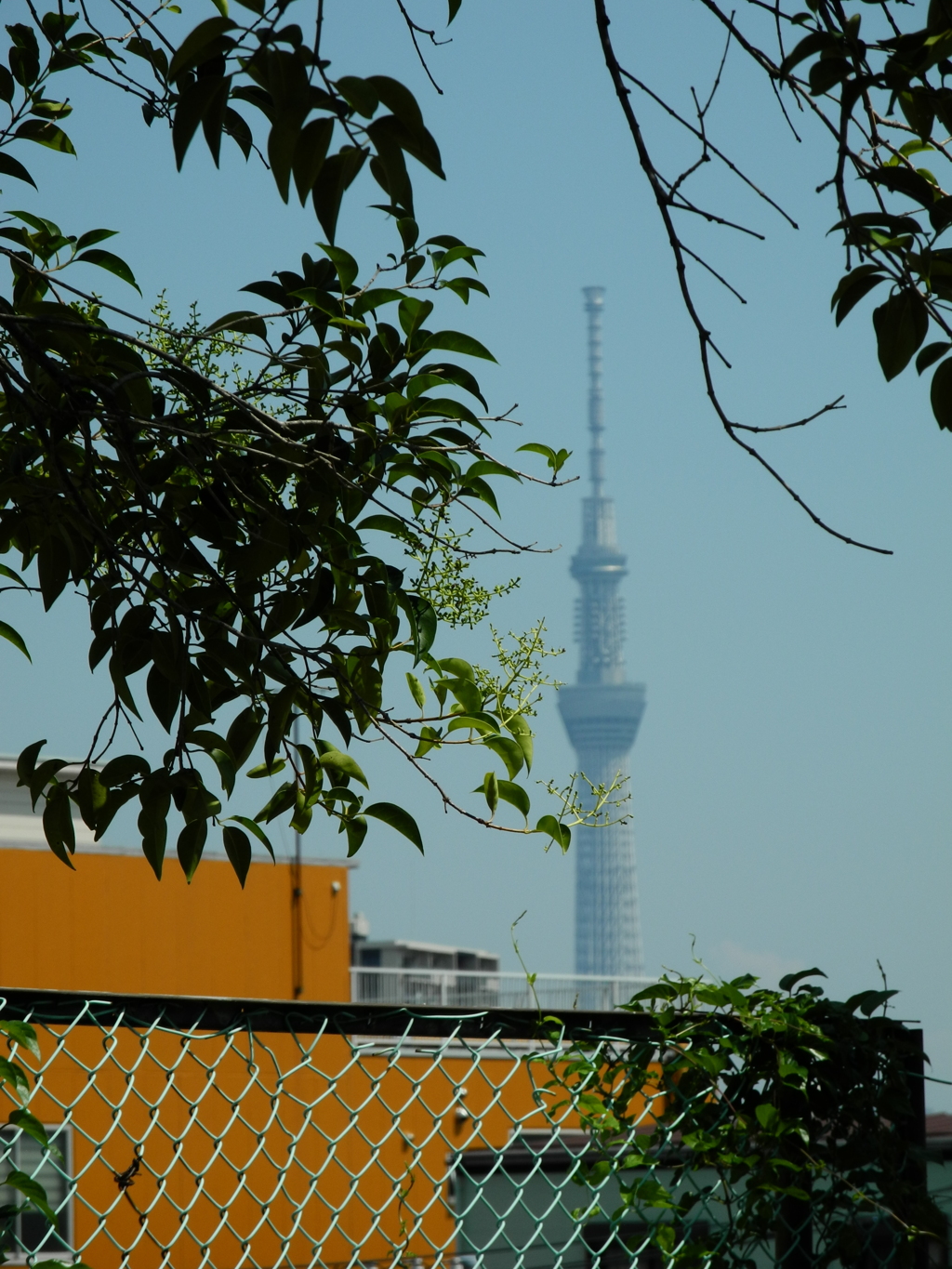 荒川自然公園