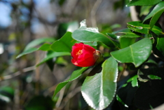 上ノ山公園