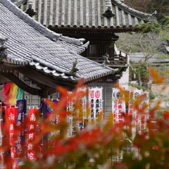 岩屋寺