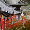 岩屋寺