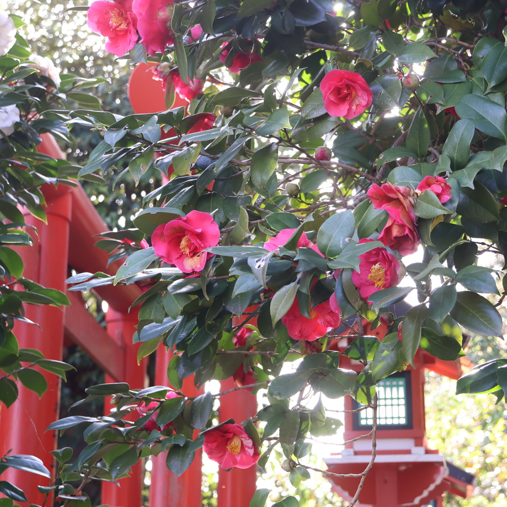 山之神社