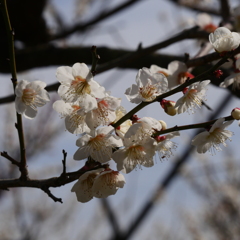 佐布里池