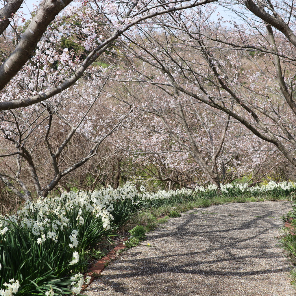 上ノ山公園