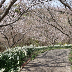 上ノ山公園