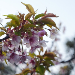 上ノ山公園