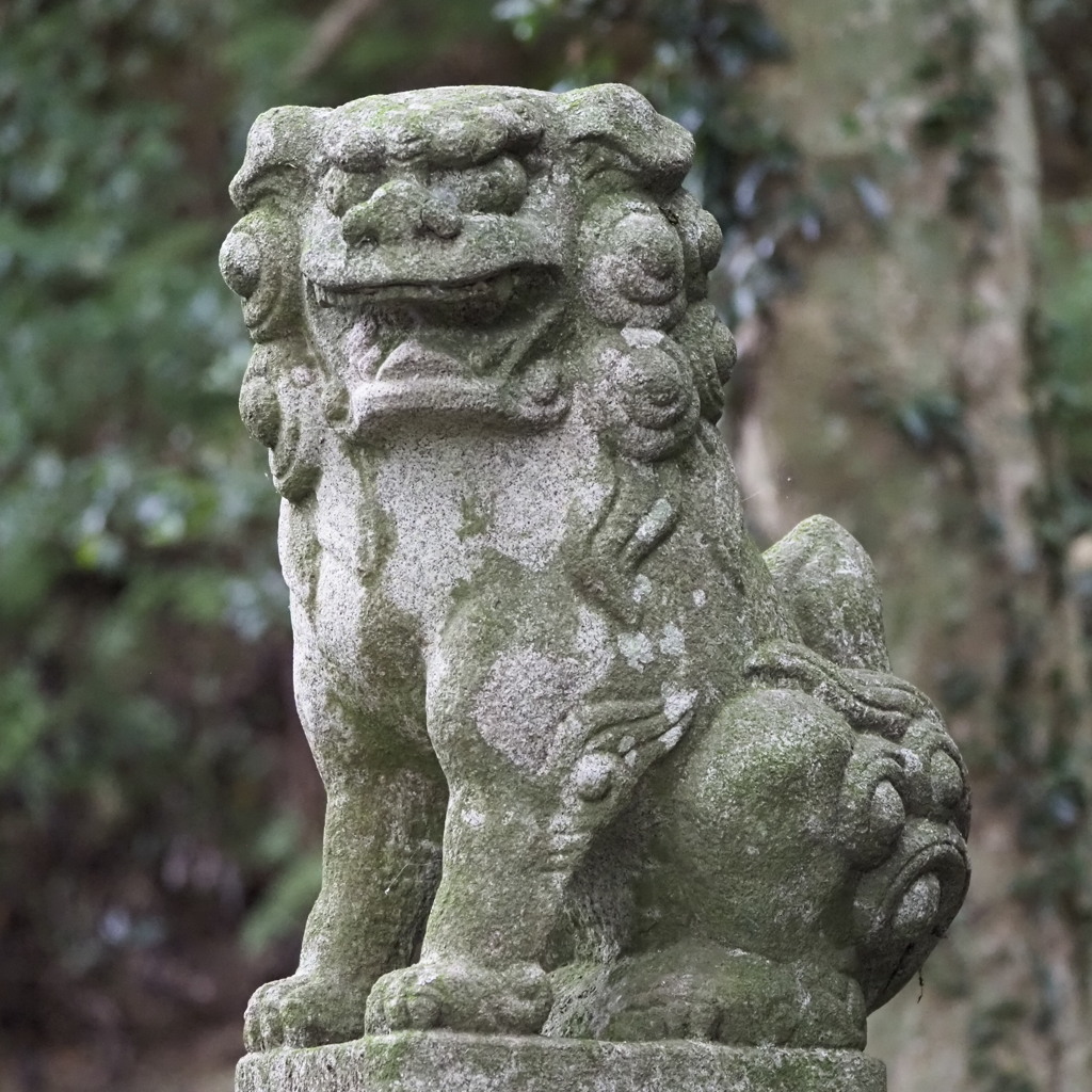 林若子神社