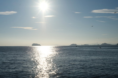 師崎海岸