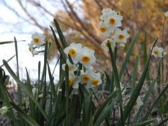 上ノ山公園