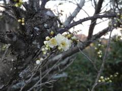 上ノ山公園