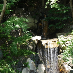 大滝