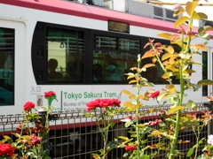 荒川自然公園前