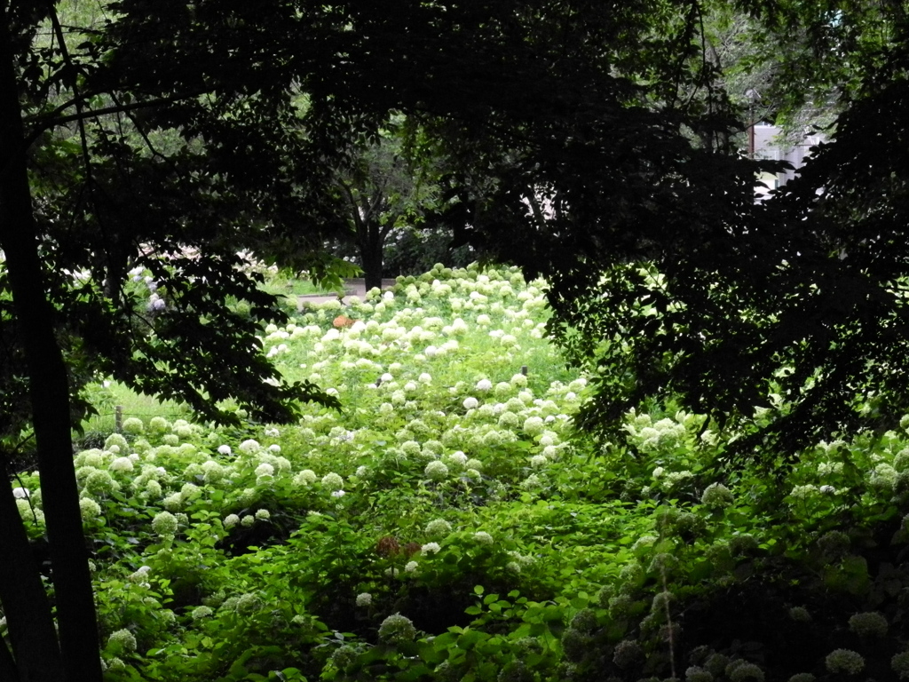 相模原北公園