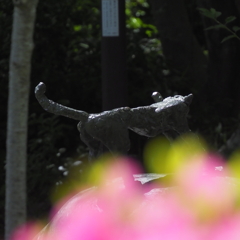 雁宿公園