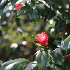 上ノ山公園
