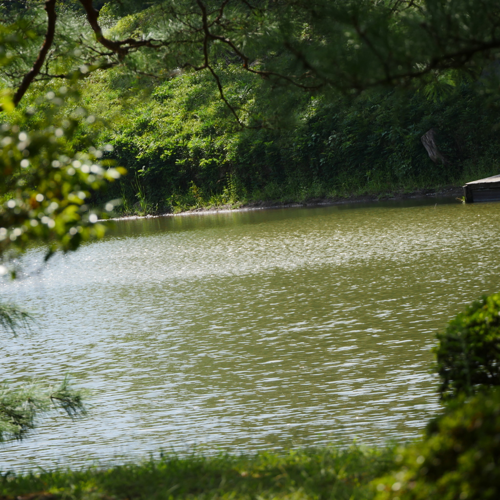 六義園
