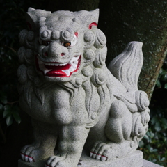 知多半島