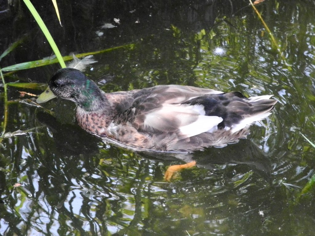 荒川自然公園