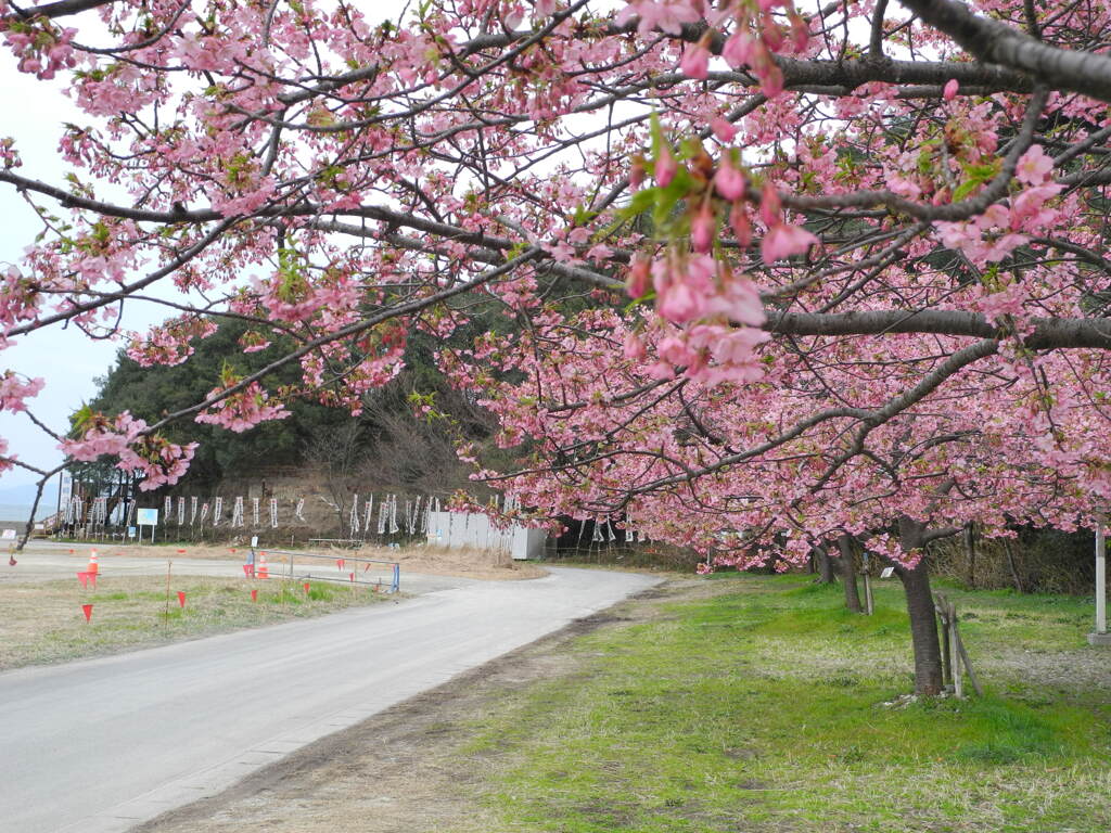 聖崎公園