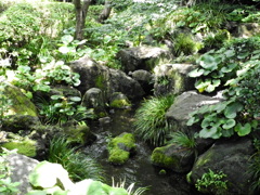 駿府城公園