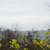 豊浜