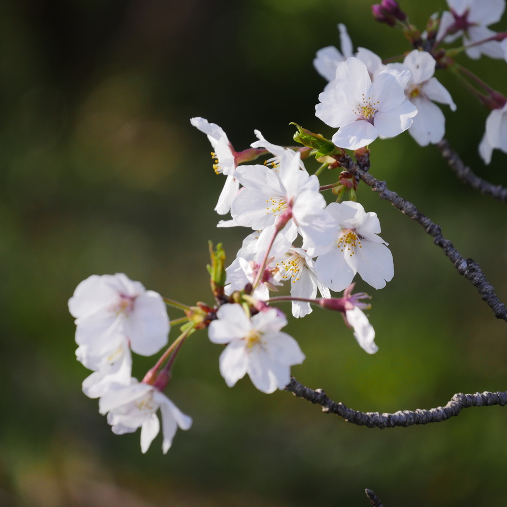 上ノ山公園