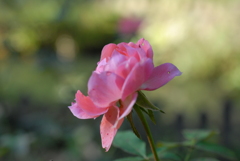 於大公園 於大公園