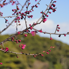 佐布里池