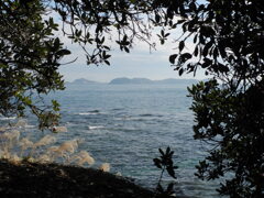 知多半島