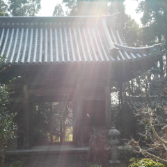 性海寺