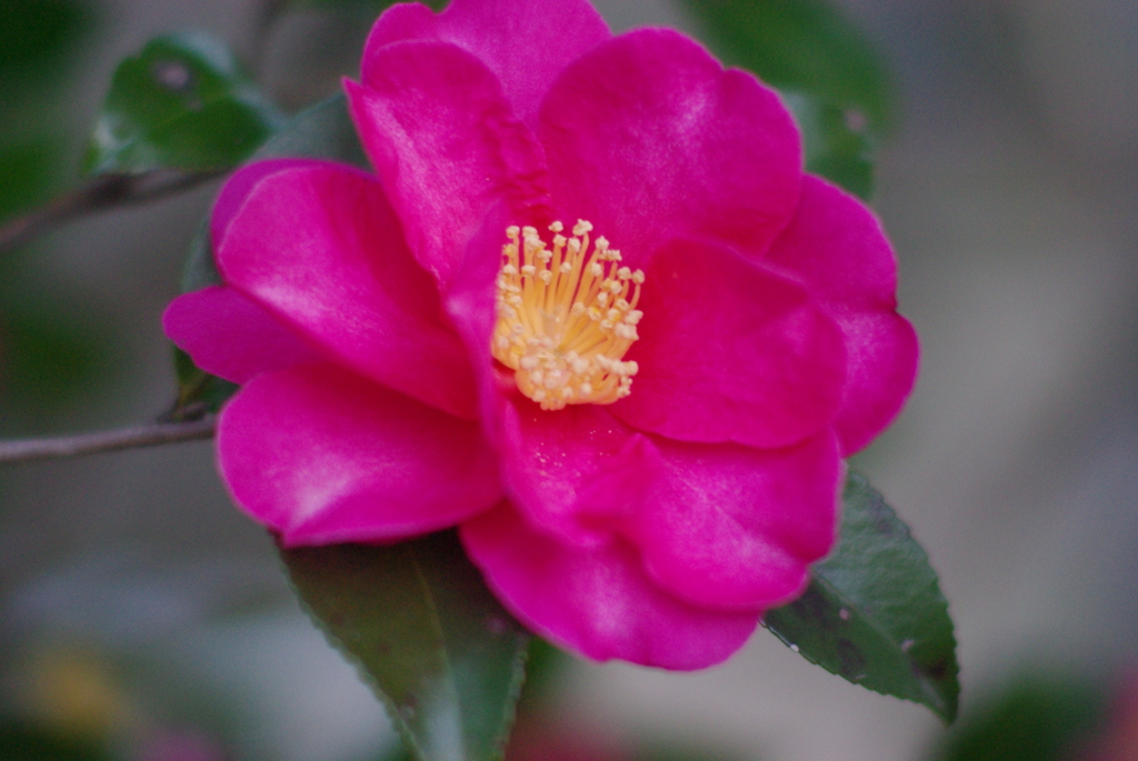 上ノ山公園付近