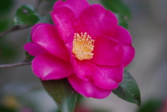 上ノ山公園付近