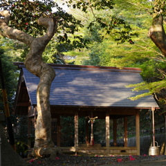 林若子神社