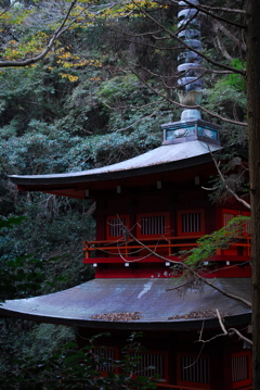 岩屋寺