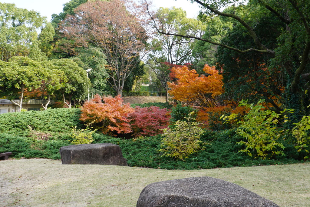 上野台公園