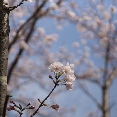 上ノ山公園